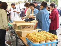 松之山産業祭